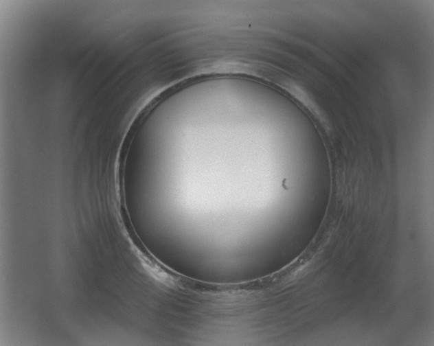 X0000066960988200603311419