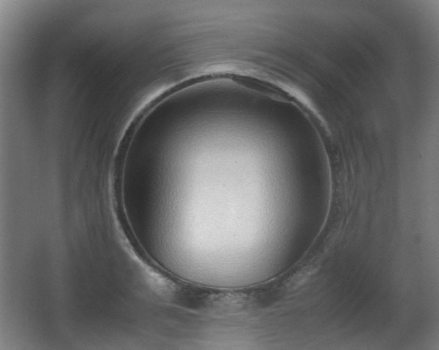 X0000066960991200603311418
