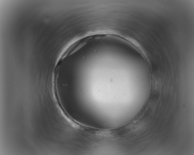 X0000066961006200603311418