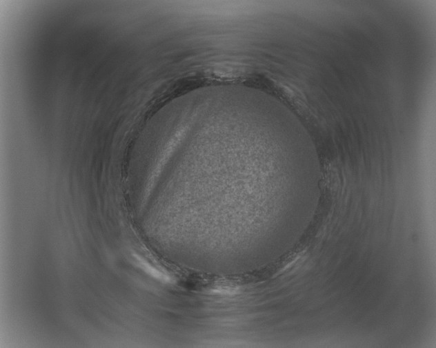 X0000066961009200603311417