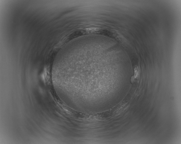 X0000066961011200603311417