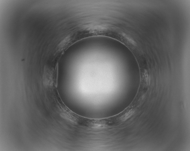 X0000066961012200603311417