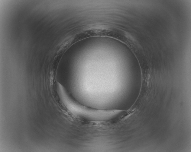 X0000066961014200603311417