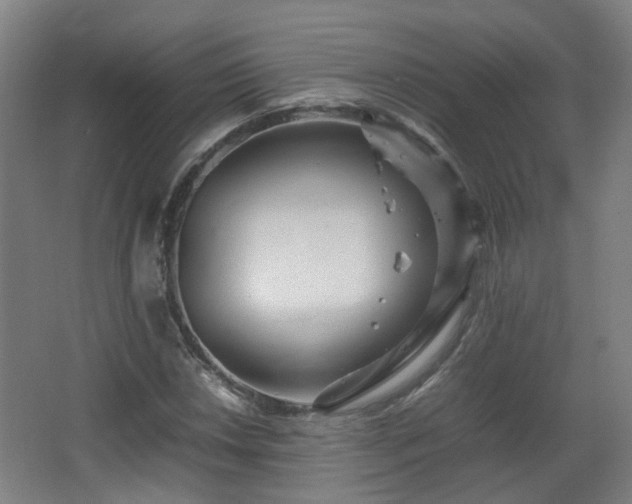 X0000066961018200603311418