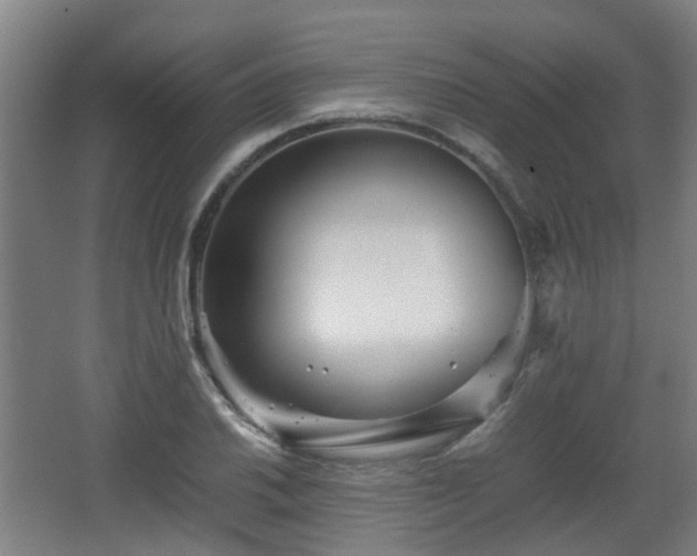 X0000066961030200603311418