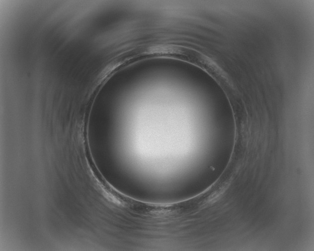 X0000066961033200603311418