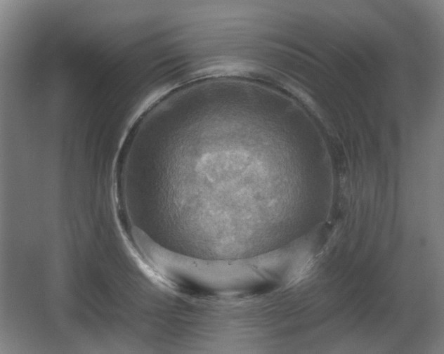 X0000066961034200603311418