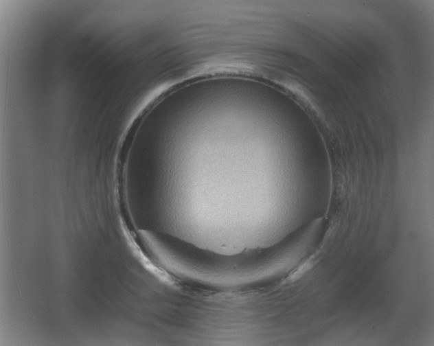 X0000066961038200603311418