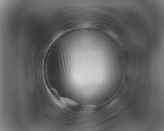 X0000066961039200603311418