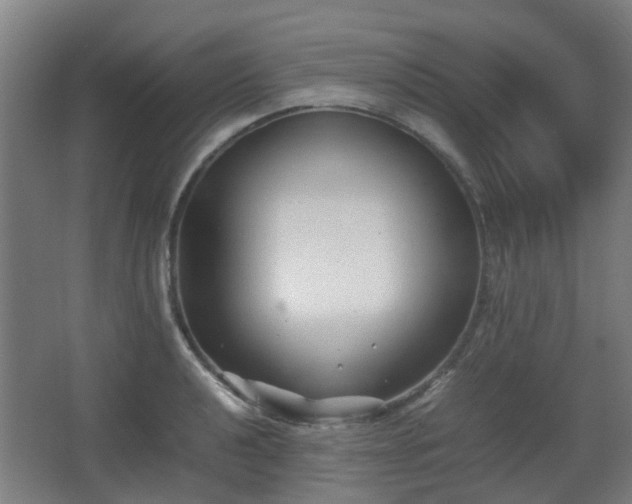 X0000066961040200603311418