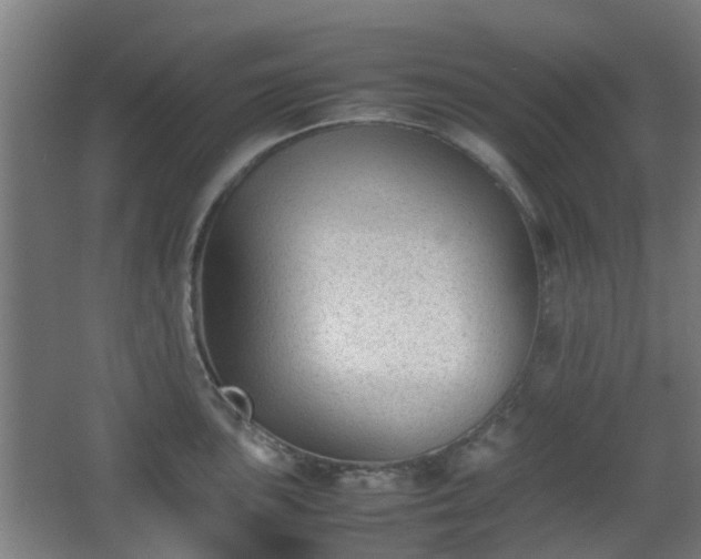X0000066961051200603311418