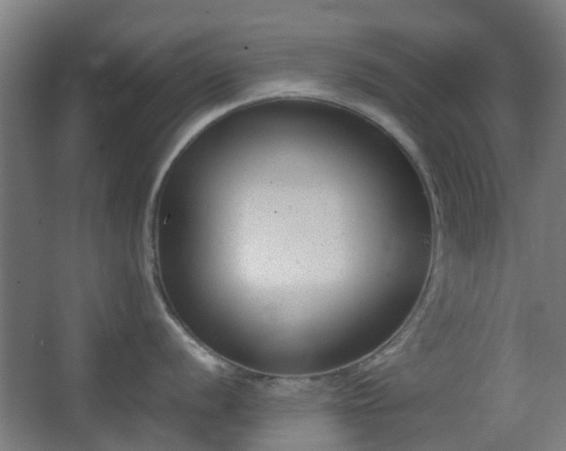 X0000066961056200603311418
