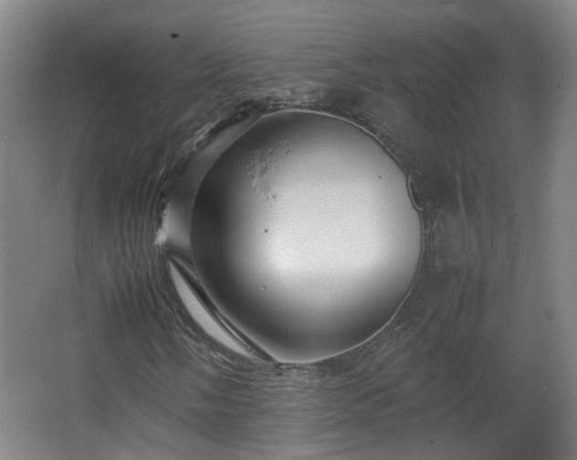 X0000066961058200603311417