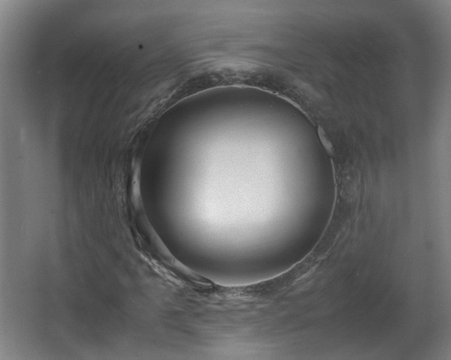X0000066961061200603311417