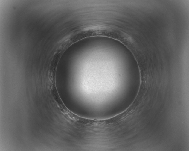 X0000066961062200603311417