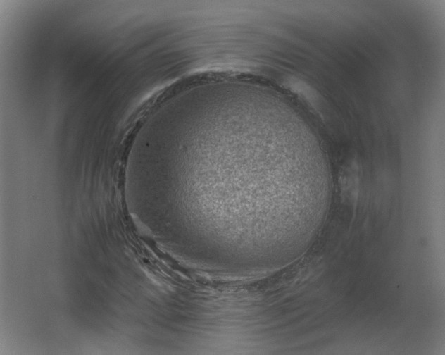 X0000066961064200603311417