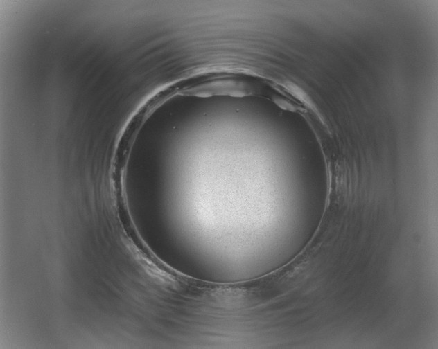 X0000066961068200603311417