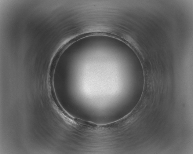 X0000066961072200603311417