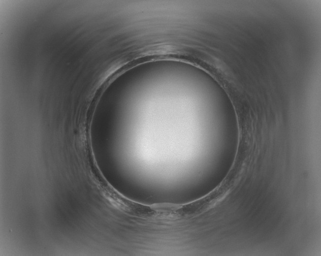 X0000066961073200603311417