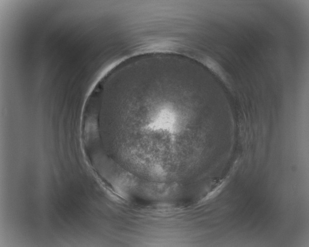 X0000066961077200603311417