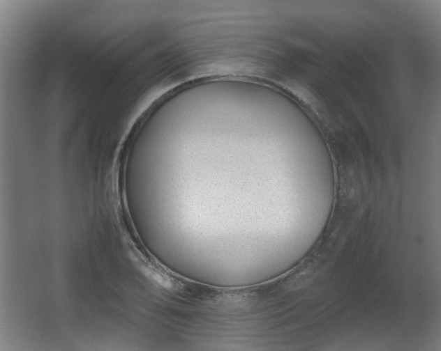 X0000066961078200603311417
