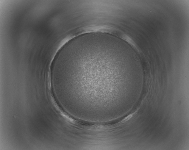 X0000066961079200603311417