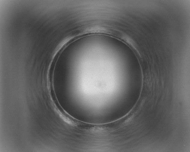 X0000066961082200603311417