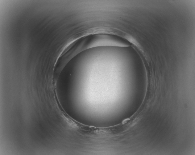 X0000066961089200603311417