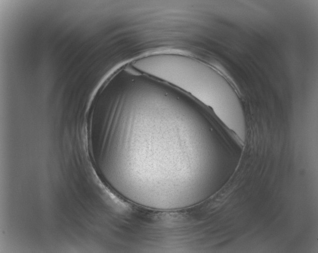 X0000066961092200603311417