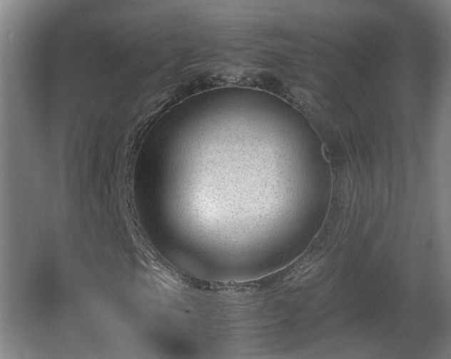 X0000066961105200603311416