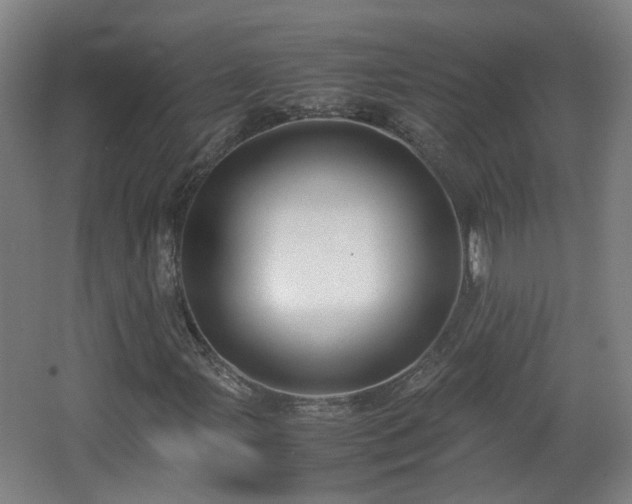 X0000066961107200603311416