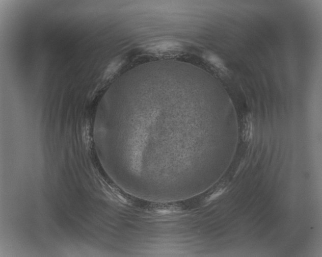 X0000066961108200603311416