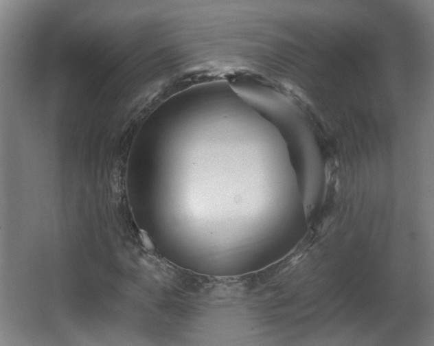 X0000066961110200603311416
