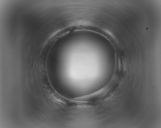 X0000066961112200603311416