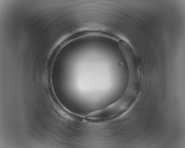 X0000066961114200603311416