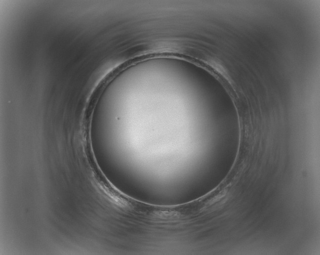 X0000066961119200603311416