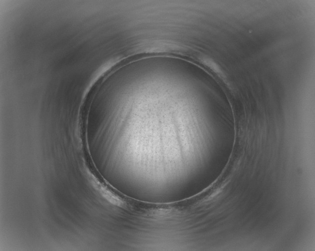 X0000066961122200603311416