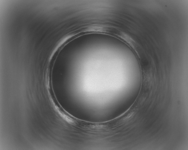 X0000066961131200603311416