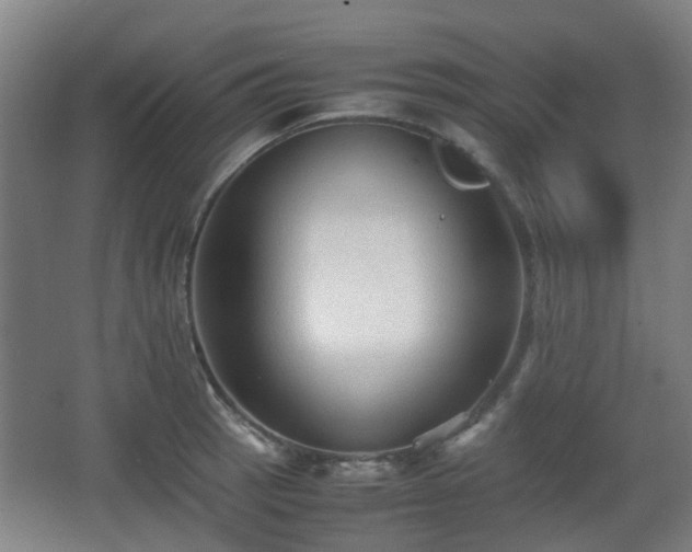 X0000066961137200603311416