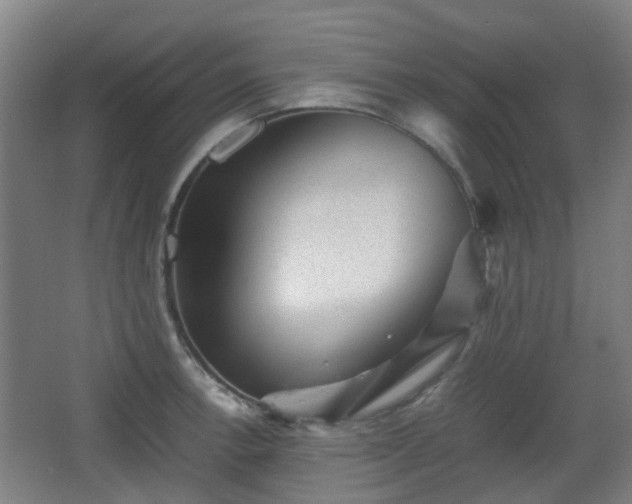 X0000066961138200603311416