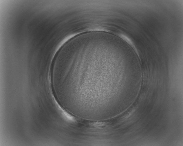 X0000066961141200603311416