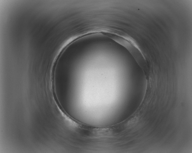 X0000066961143200603311416