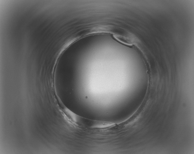 X0000066961145200603311416