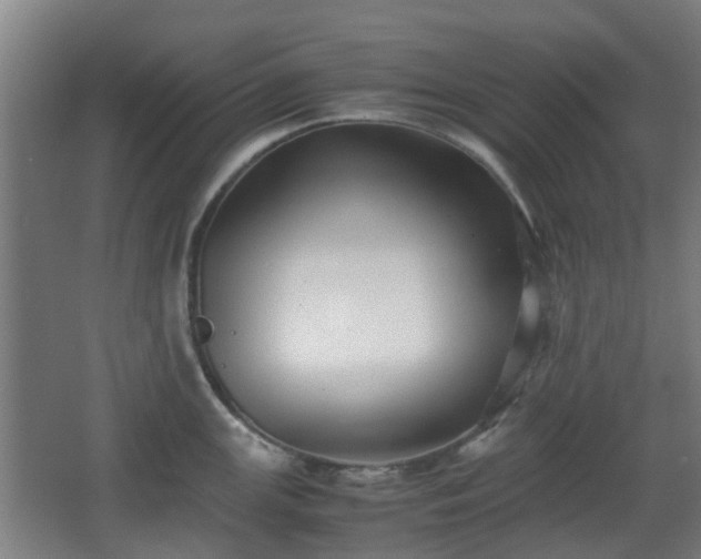 X0000066961147200603311416