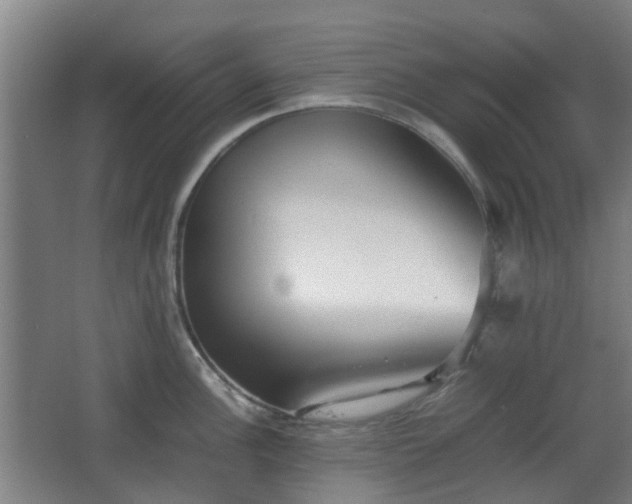 X0000066961148200603311416