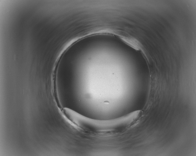X0000066961151200603311417