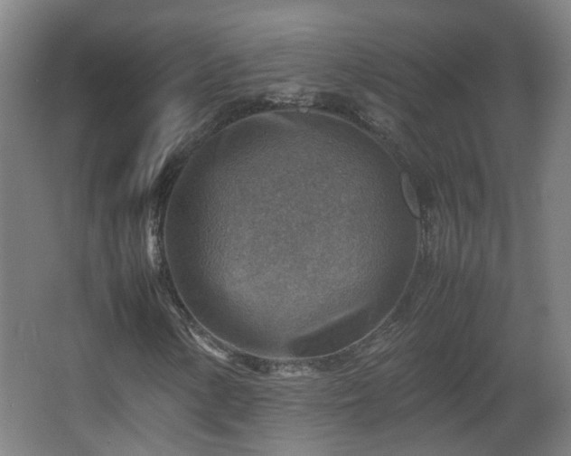 X0000066961154200603311416