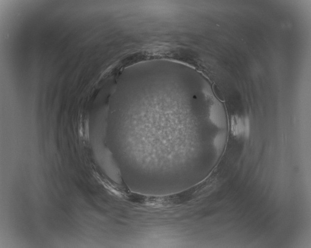 X0000066961155200603311416
