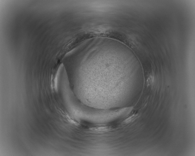 X0000066961156200603311416