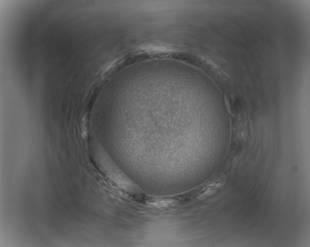X0000066961157200603311416